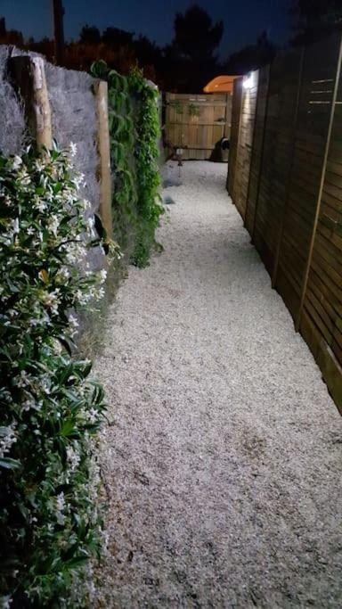 Le Chai De L'Ocean - Studio Avec Jardin Et Terrasse - Plage 300 M Soulac-sur-Mer Exteriér fotografie